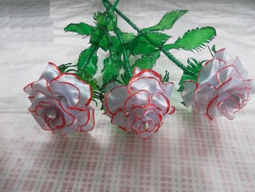 10 фото роз из пластиковой