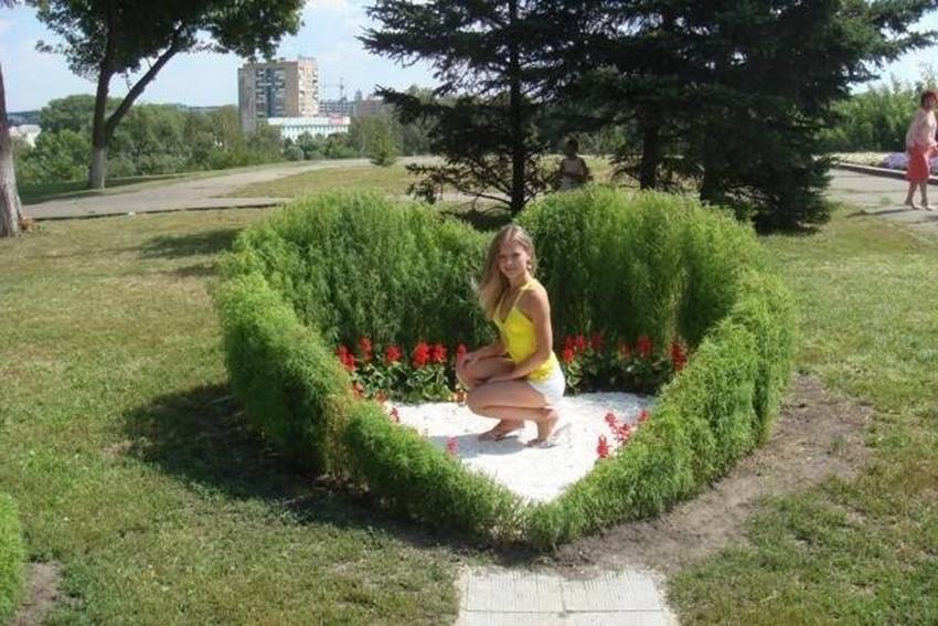 Кохия в ландшафтном дизайне: 9