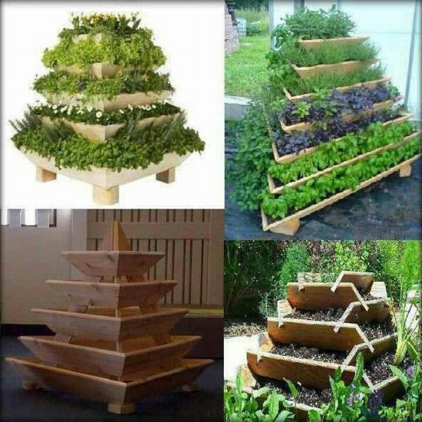 Красивые и оригинальные грядки: 10