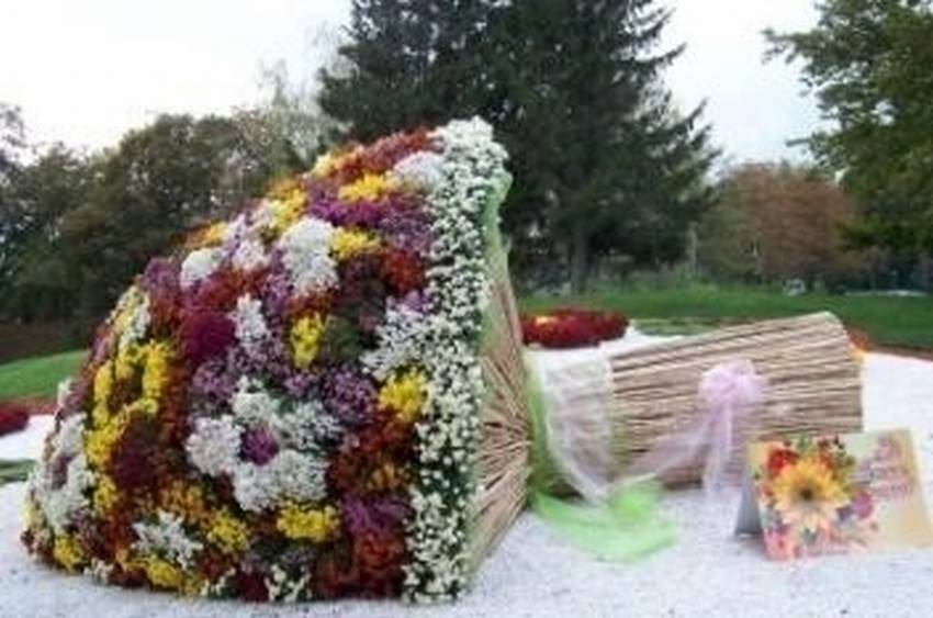 Клумба в виде букета цветов