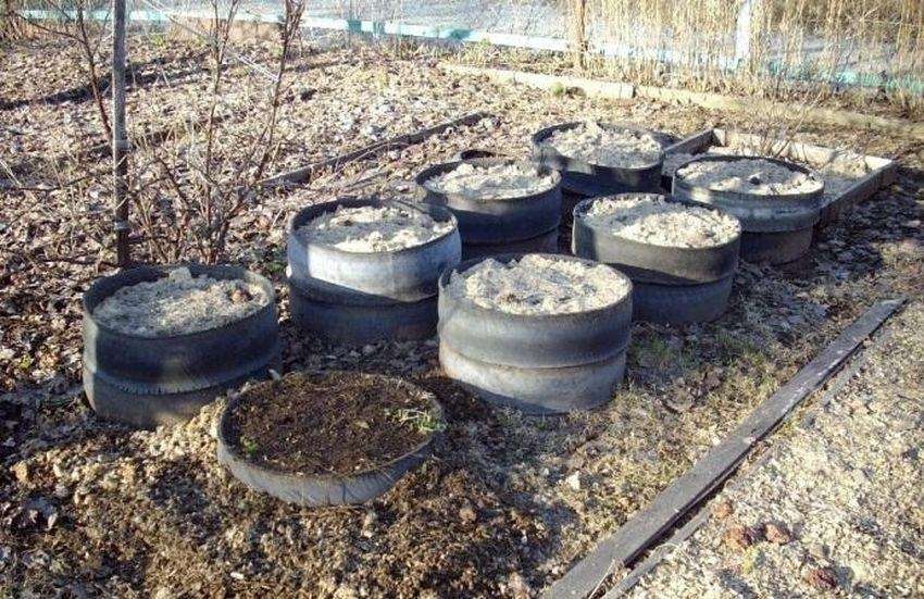 Грядки из покрышек. 10 идей