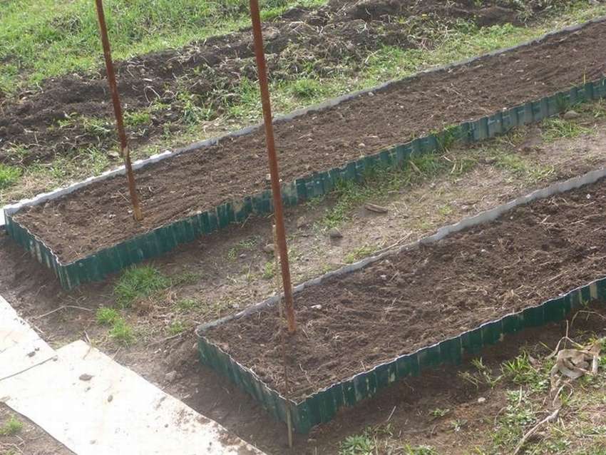 Грядки из профлиста своими руками