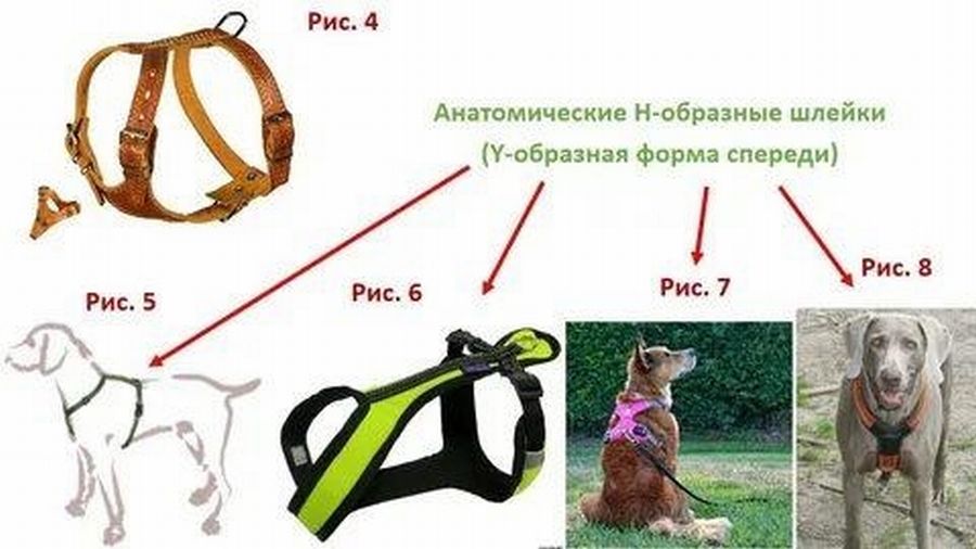 Тяговая шлейка для собак: 18