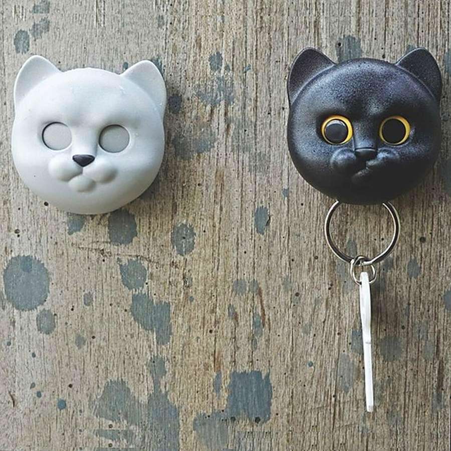 КОТ и КОШКА: 11 удивительных