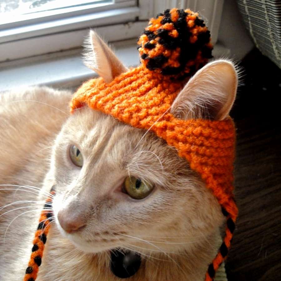 Чепчики для котиков: ТОП 10