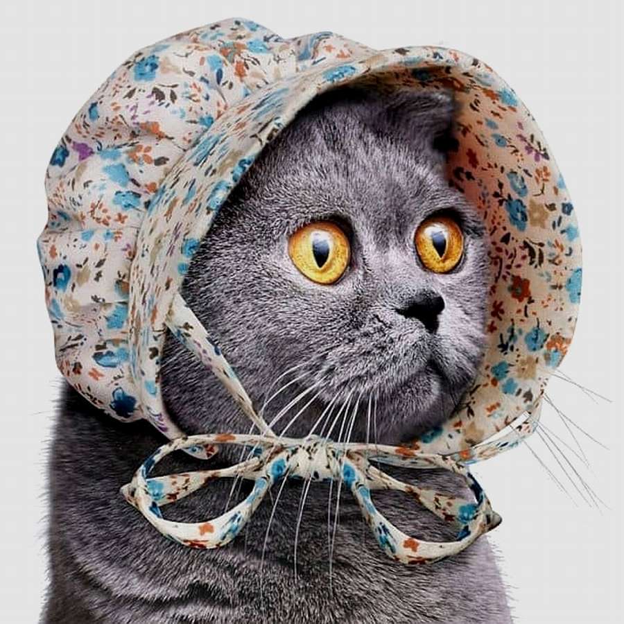 Чепчики для котиков: ТОП 10