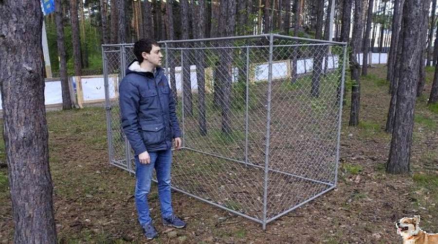 Простой вольер для собаки из