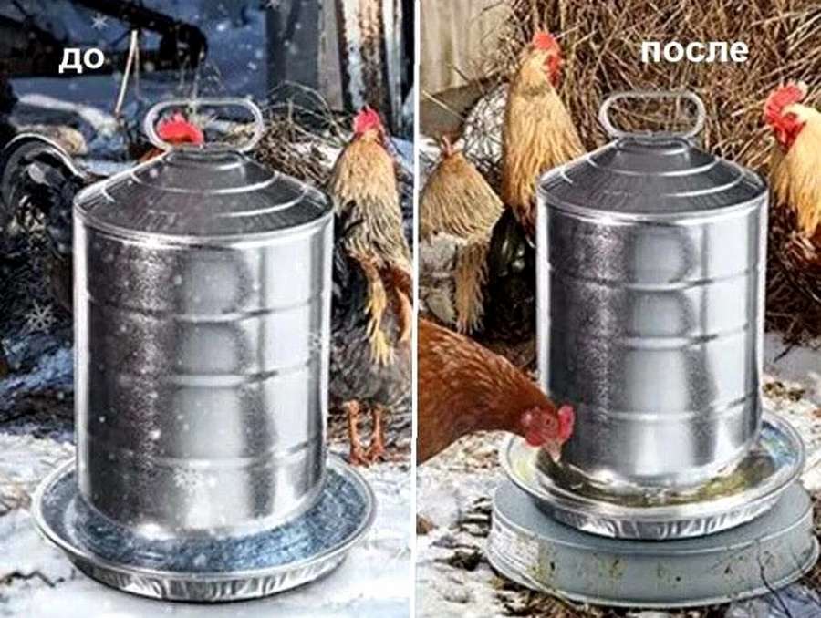 Зимняя поилка для кур с