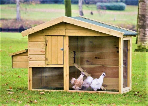 Курятник на 5 кур: ТОП 10 крутых идей, чтобы сделать самому