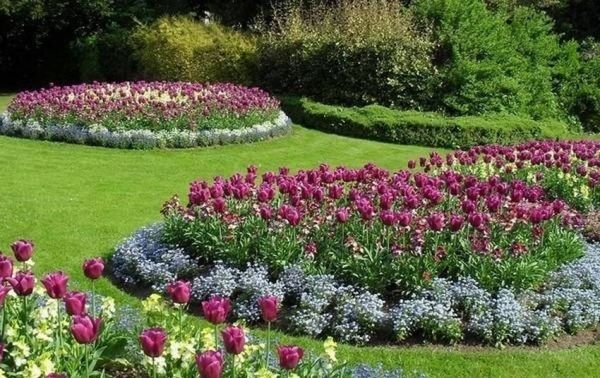 Клумба круглой формы. Красивейшие цветники своими руками (12 фото)