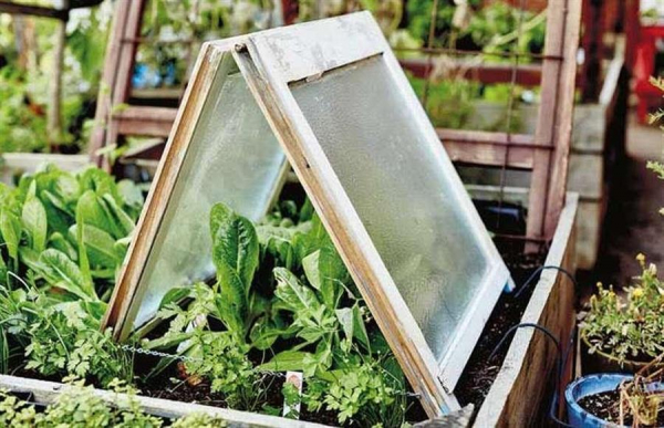 Мини парник из окон✅ Сделай сам легко и просто