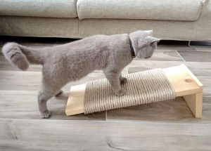 Класс! Когтеточка из фанеры: 10 крутых моделей